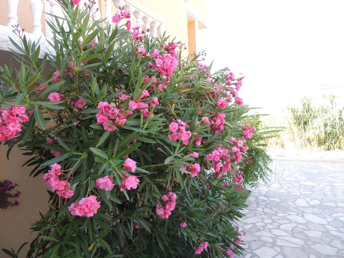 Apartman Husic Pag Town Exterior foto